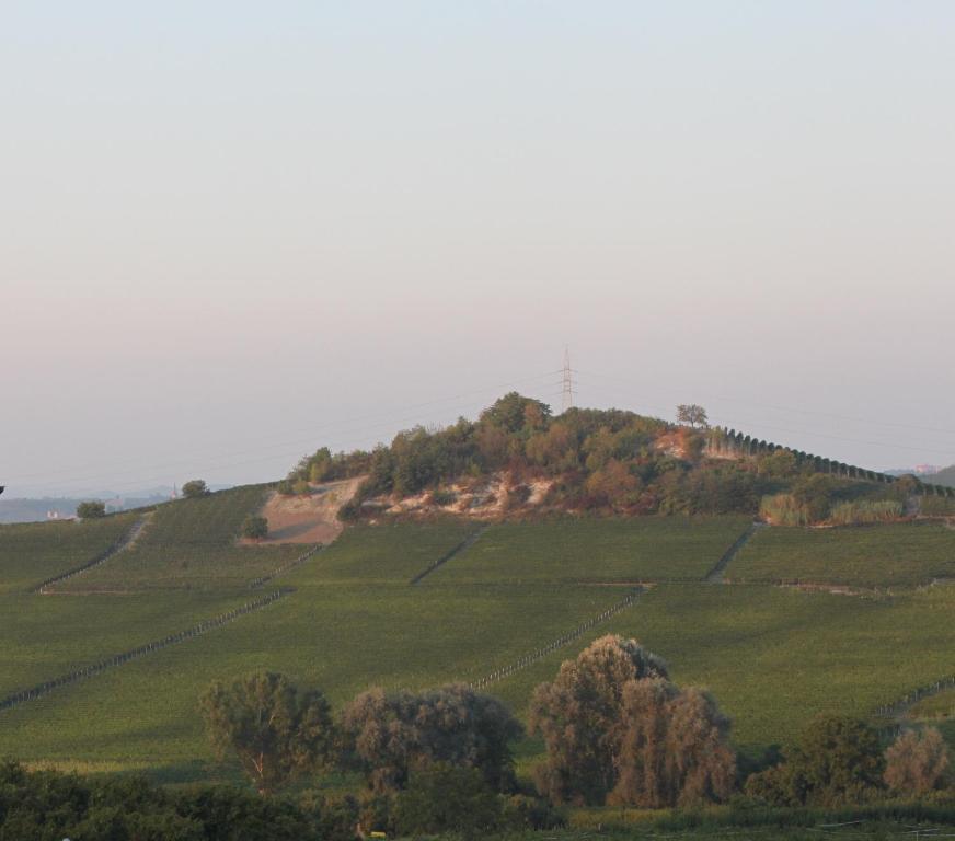 Villa Vecchio Castagnito Dış mekan fotoğraf